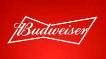 Anheuser Busch - Budweiser 25oz Cans
