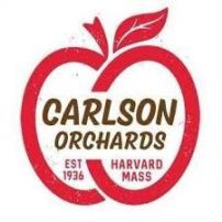 Carlson Orchard Shandy Stand 16oz Cans (Each)